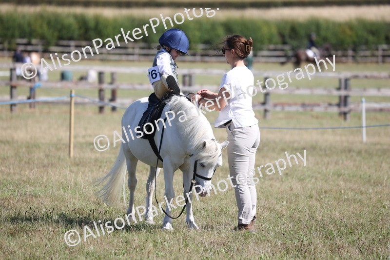 20260906-2300 - Class 16 - Family Pony