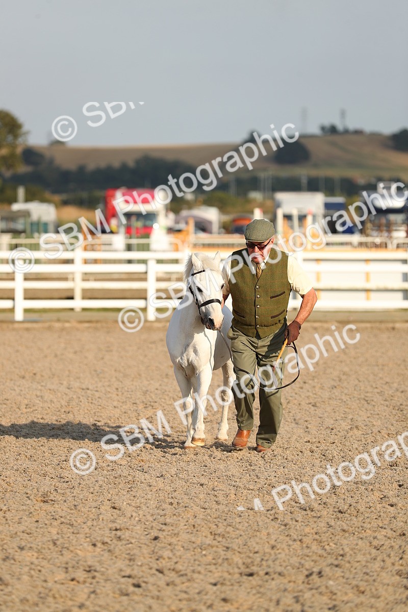 SBM_09023 - Class 29 IH Veteran Pony