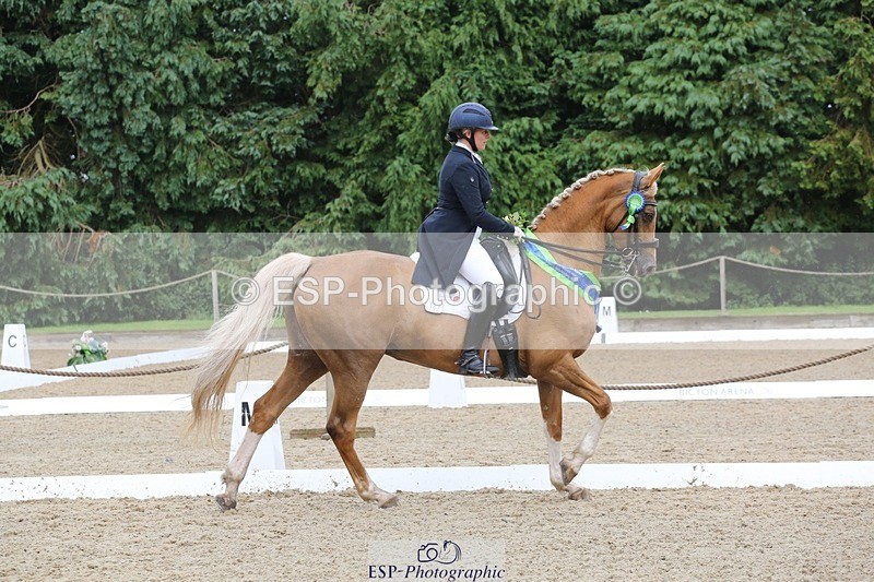 240720-155028-06737 - Cls 9 FEI Inter I BRONZE