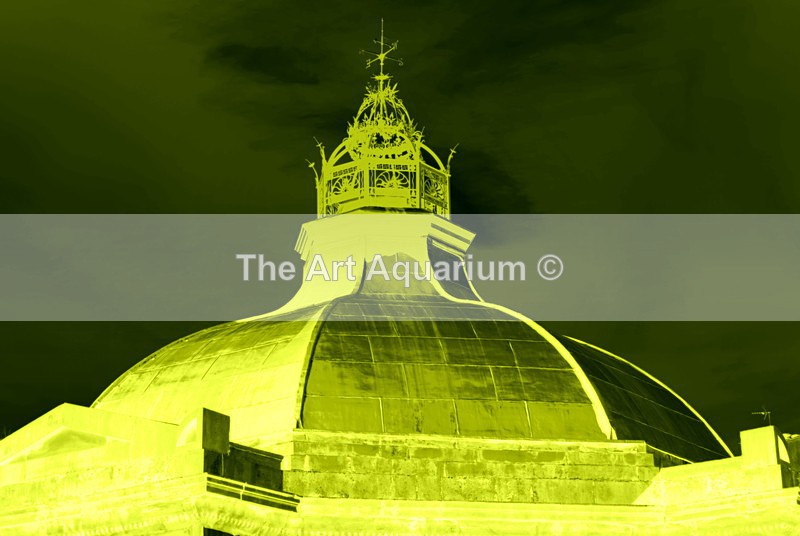 The Art Aquarium - Rachael Inchboard
