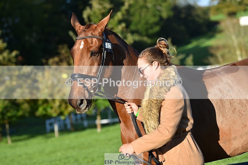 231022-093014-21837 - 682-DOOLIN.DE.REVE-Jasmine.Holmes-TrotUp+SJ