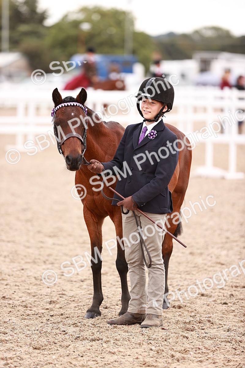 SBM_18479 - Class 420 - Ridden M&M