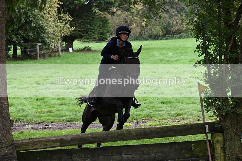 WJ6_1994 - Time 13:31 to 14:00