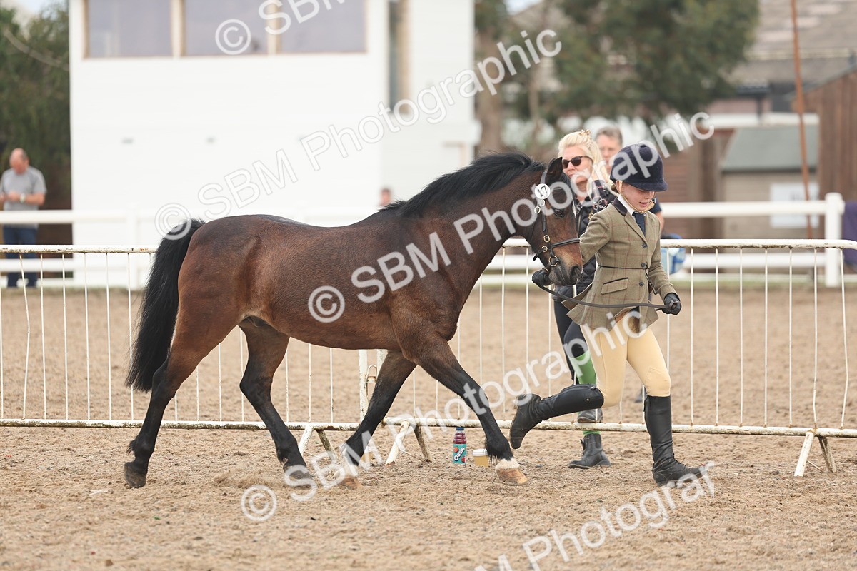 SBM_08502 - Class 29 - IH Veteran Pony