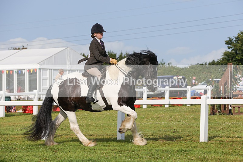 1X9A3127 - Class 27:  Ridden Native/Trad Coloured Horse