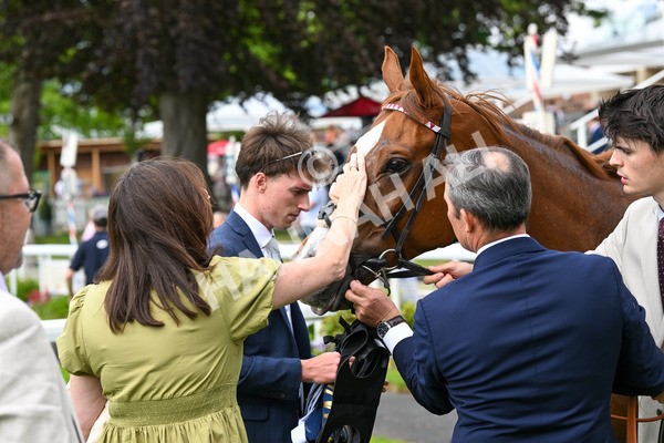 310525-Race 3-Habooba-9237 - Race 3 2.40pm William Hill More Top Prices Handicap