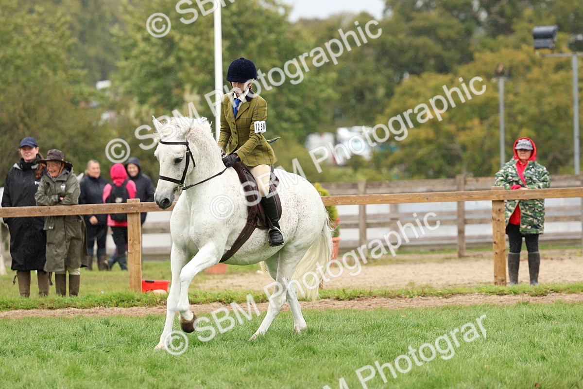 SBM_69606 - S62 - Mountain & Moorland Ridden Large Breeds
