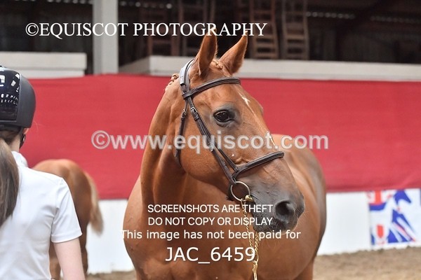 JAC_6459 - 19 Luca