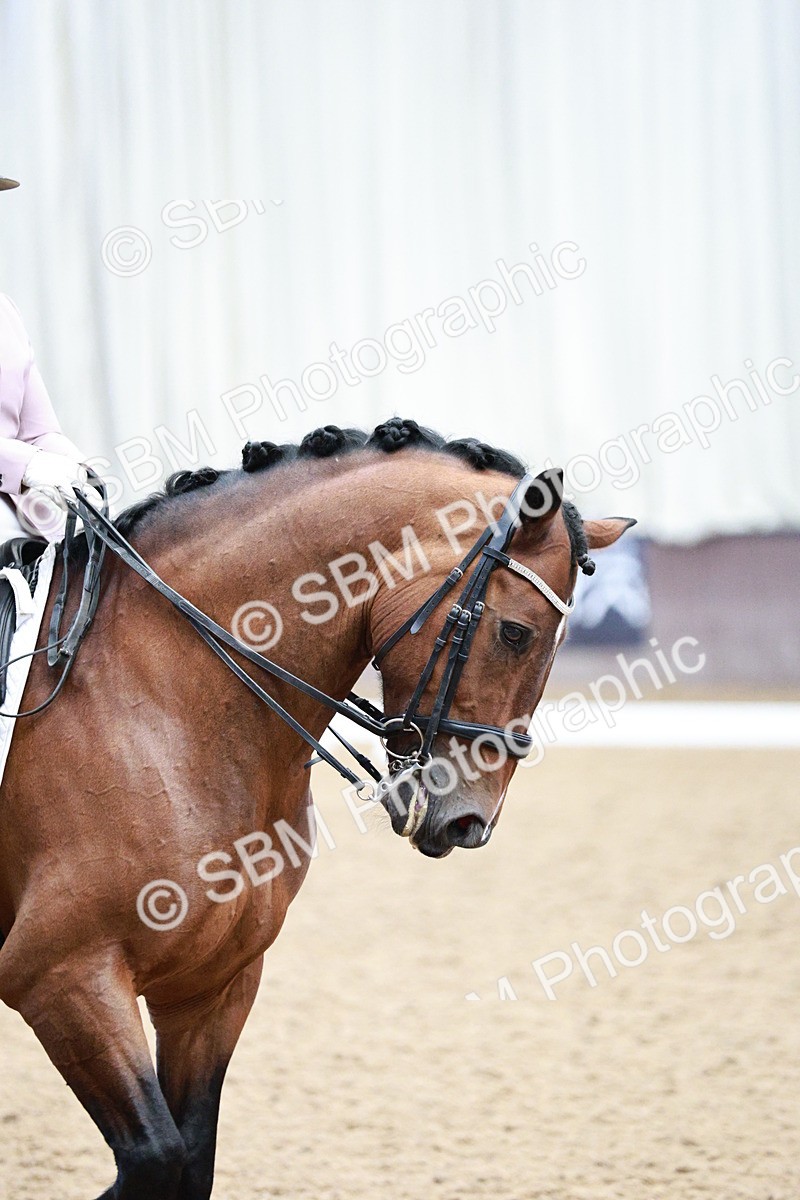 SBM_006475 - Class 16 - Advanced Medium 5 - 16.02-17.22