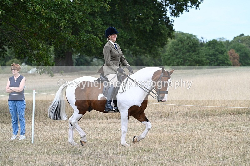 WJ7_4836 - Class 12 Ridden Cob