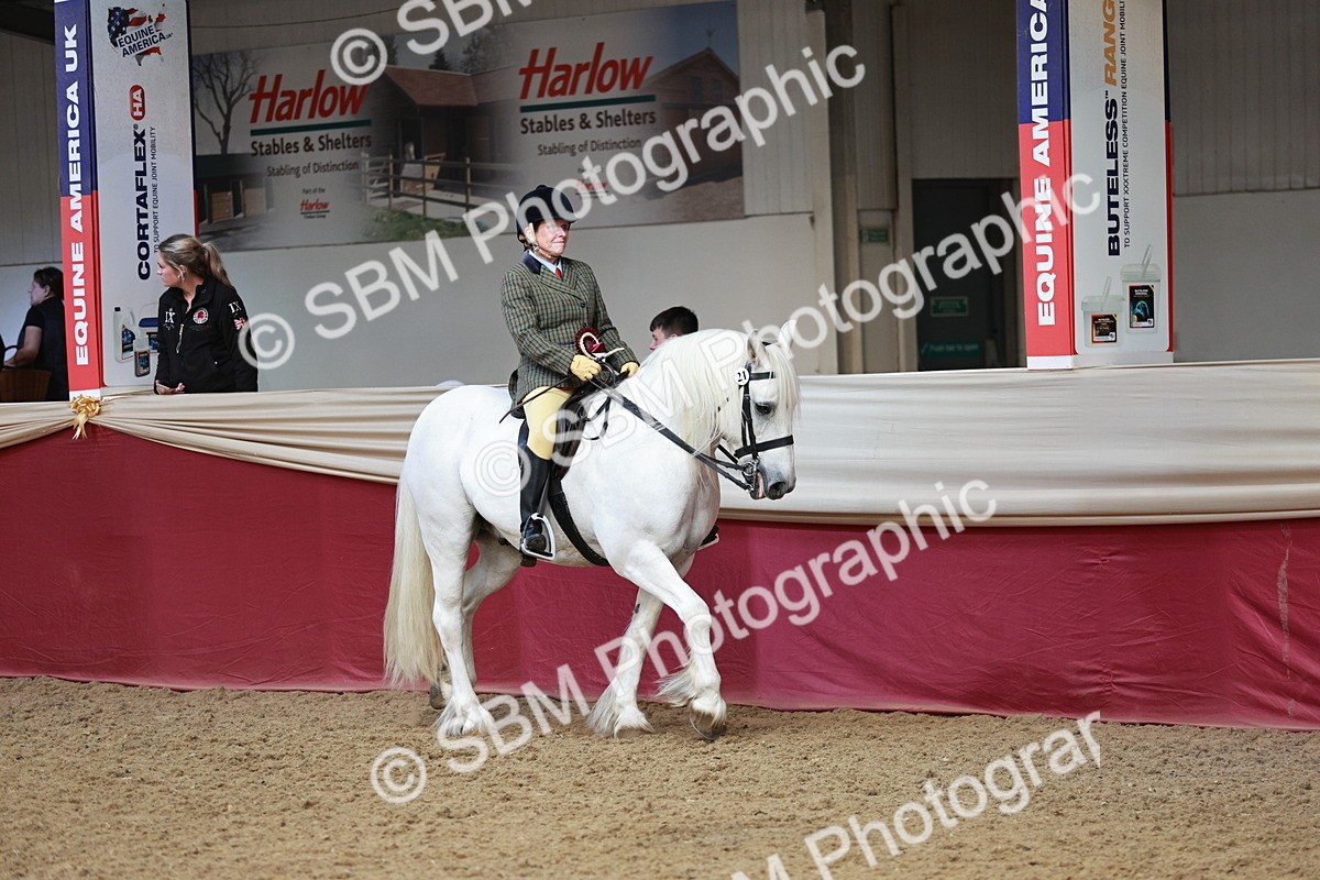 SBM_08623 - Regional Ridden Champ