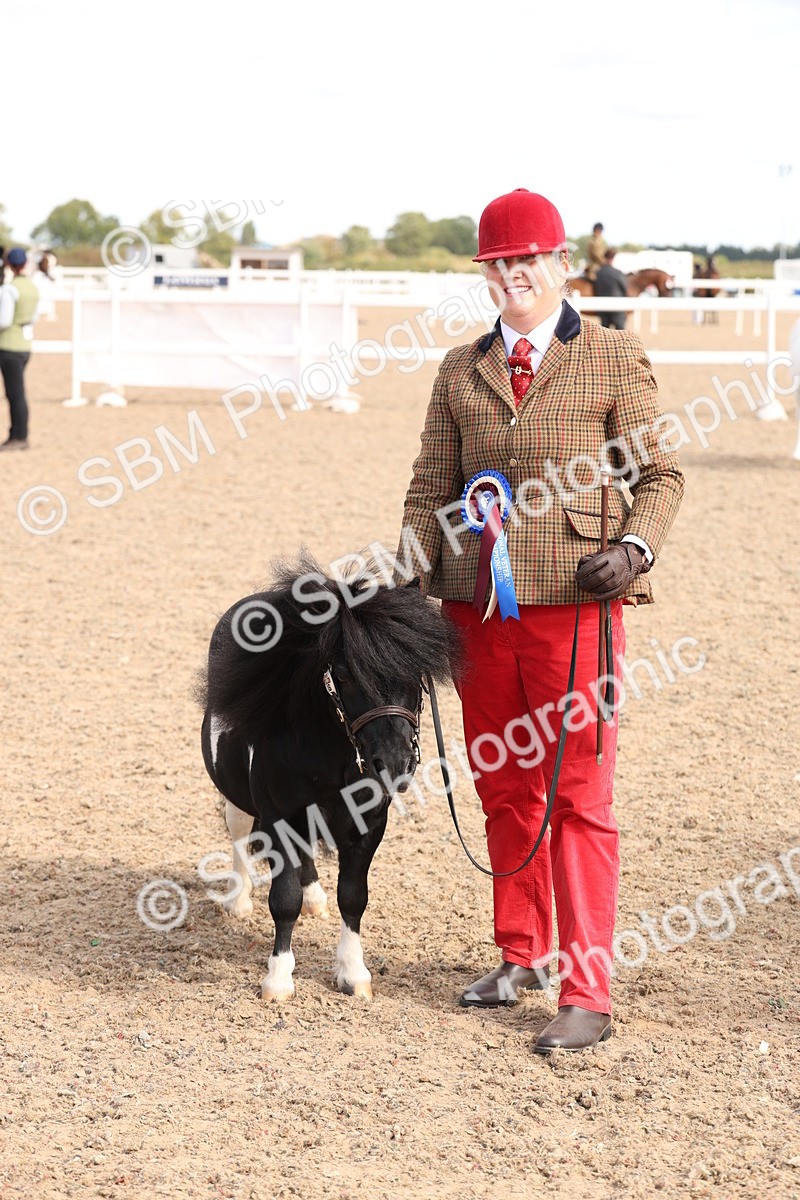 SBM_13992 - Class 205 - IH Show Pony - Show Hunter Pony