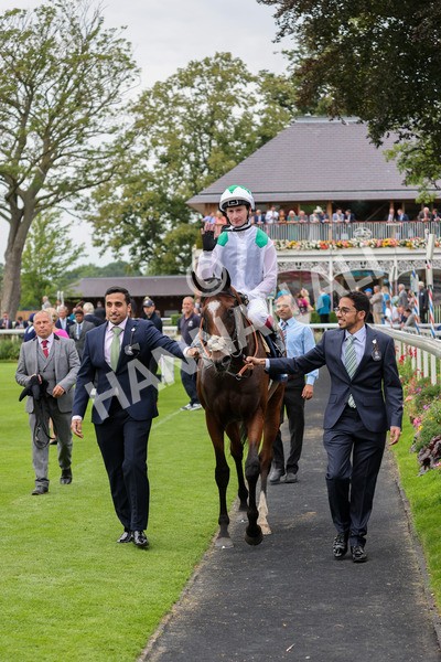 yr20082021r5-34 - Race 5 4.10pm British Stallion Studs EBF Convivial Maiden Stakes (Plus 10 Race)