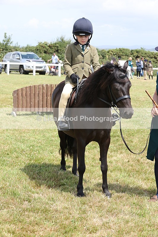 JPP_1874 - Class 18: Tiny Tots Working Hunter Pony