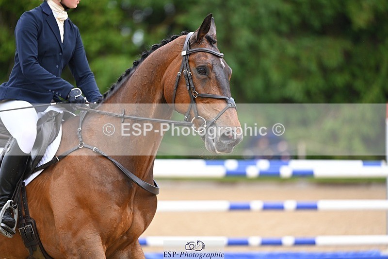 240526-152222-24890 - 211-THE_CLASSIC_COMPOSER-Rosie_Ringer