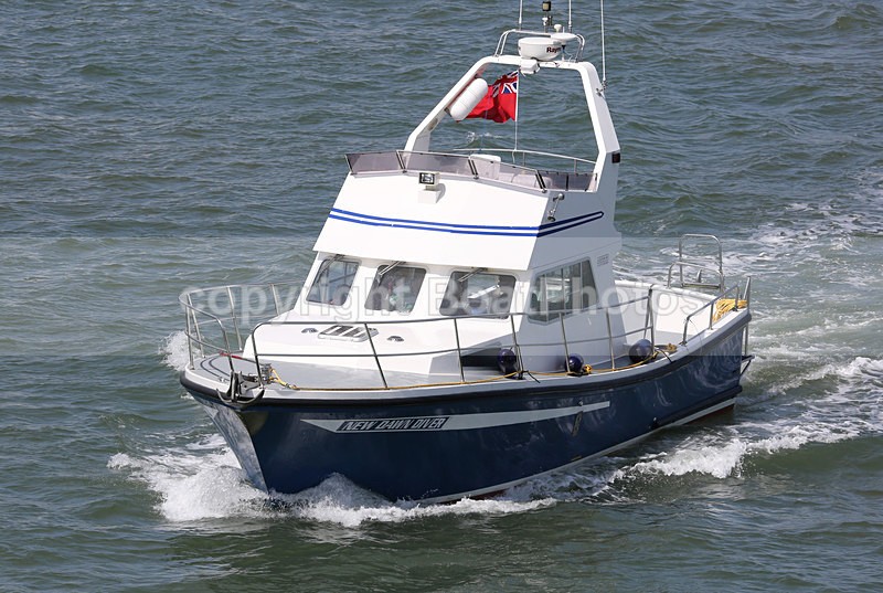 160508 NEW DAWN DIVER Y92A6209 - Flybridge Cruisers