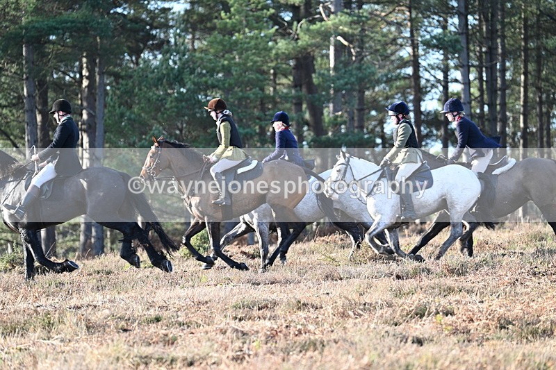 WJ7_7048 - Line 3 (no line 4 or 5)