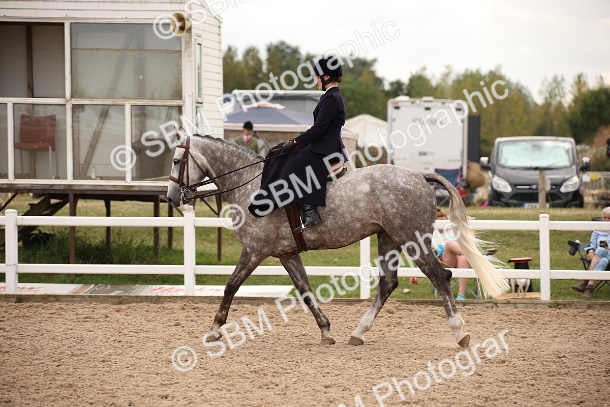 SBM_05484 - Class 22 SSA Equitation