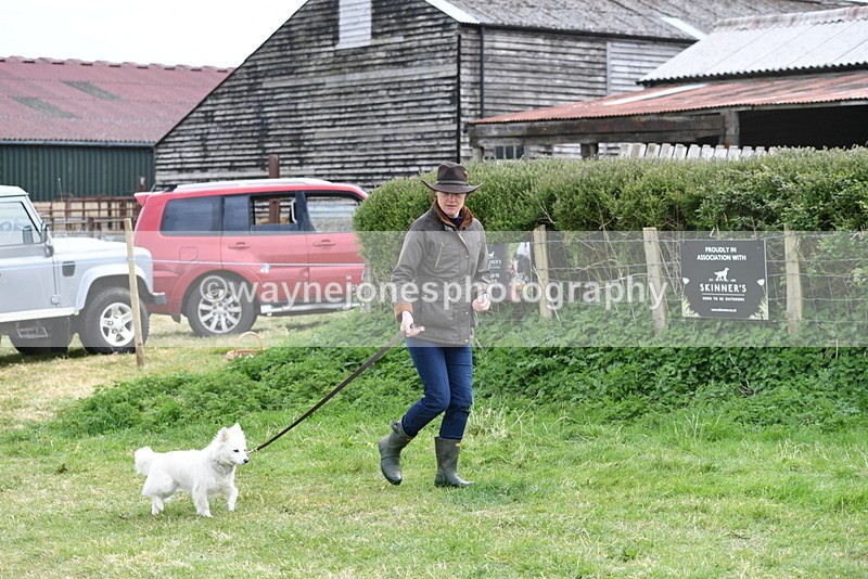 WJ5_9182 - Class 1 Best Cross Breed / Heniz 57