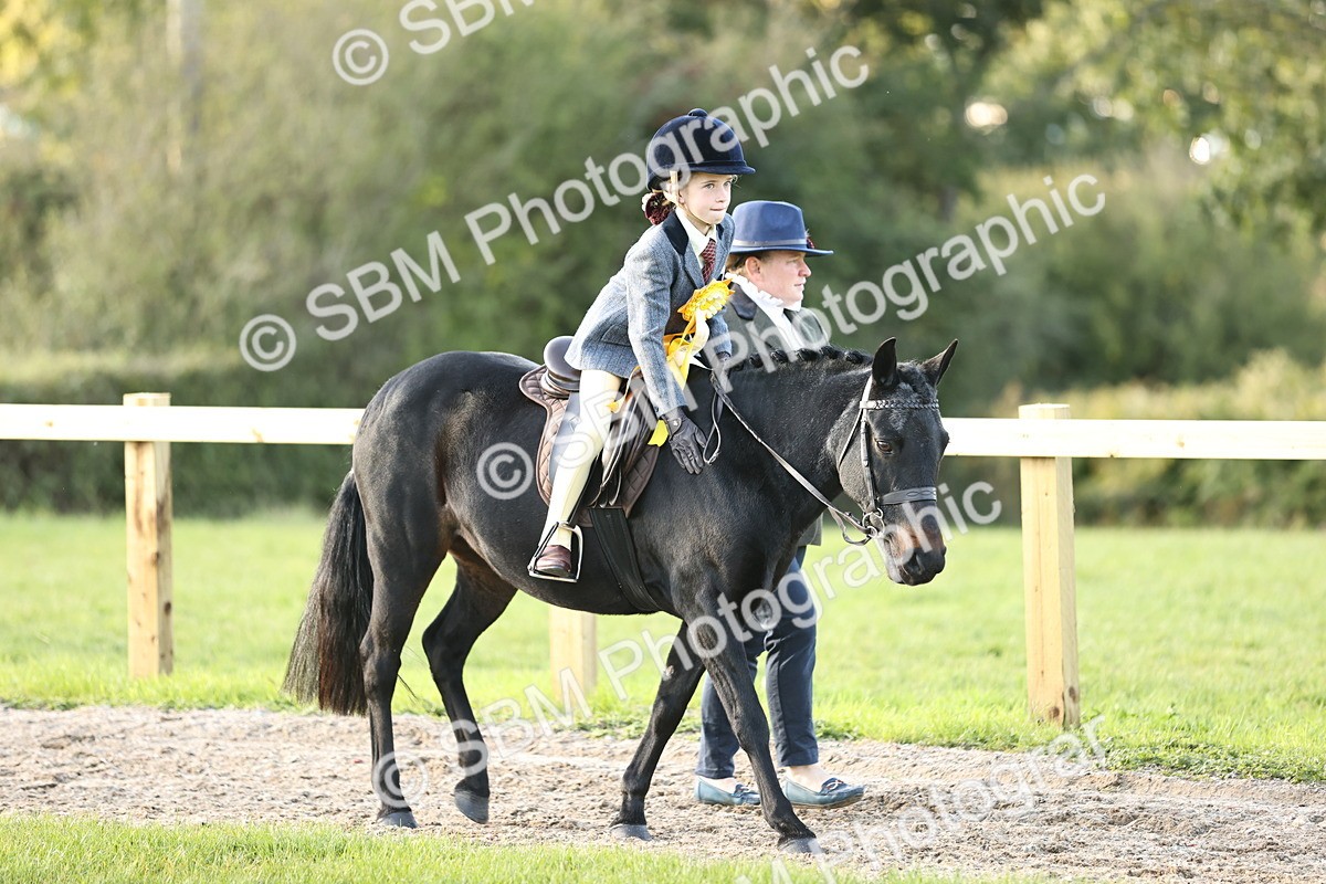 SBM_29527 - S7 - Novice & Newcomers Ridden Pony