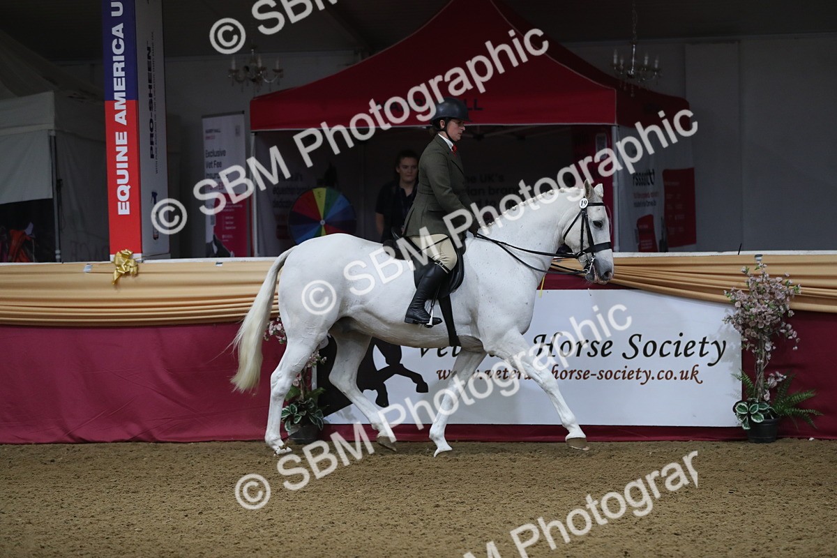 SBM_10342 - Class 102 Equitation (best rider) Adult