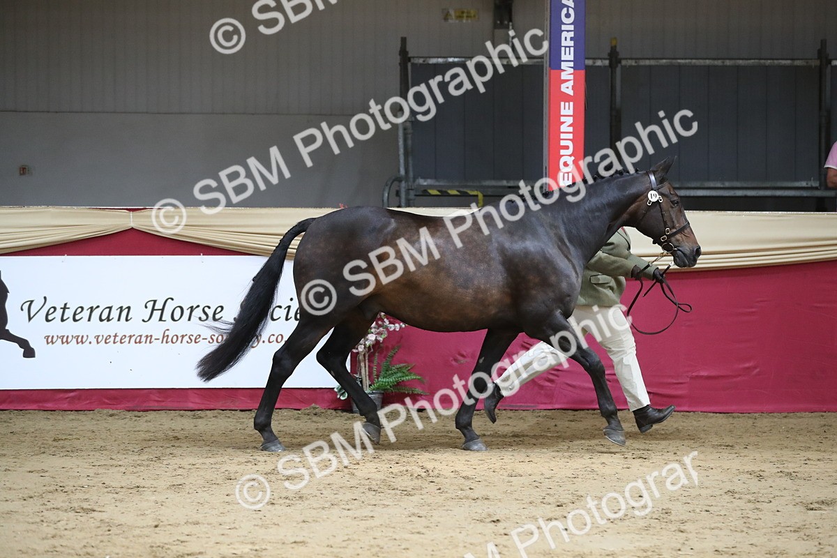 SBM_06257 - Class 9R Regional- IH Pre Vet