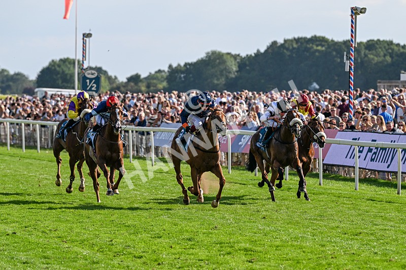 220826-Race 6-Sale Shark-1534 - Race 6 16.45pm Julia Graves Roses Stakes