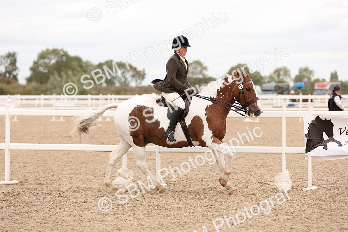 SBM_19543 - Class 215 - Ridden Show cob