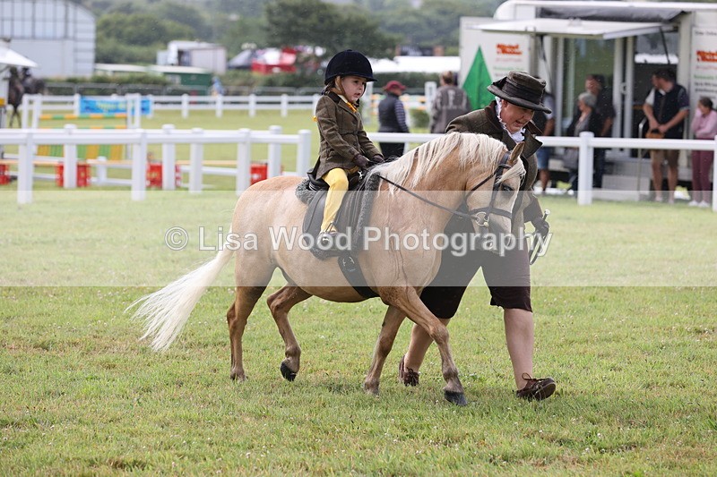 JPP_0388 - Class 14: Cornish Combination Leading Rein