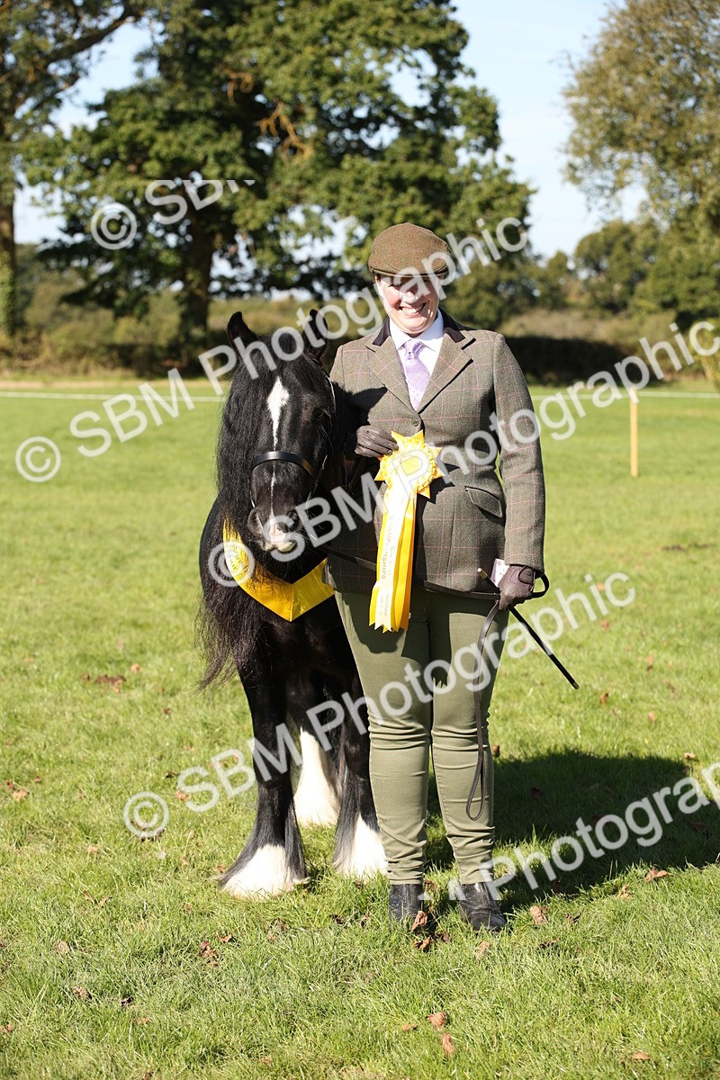 SBM_36685 - S10 - Best In Hand Horse & Pony