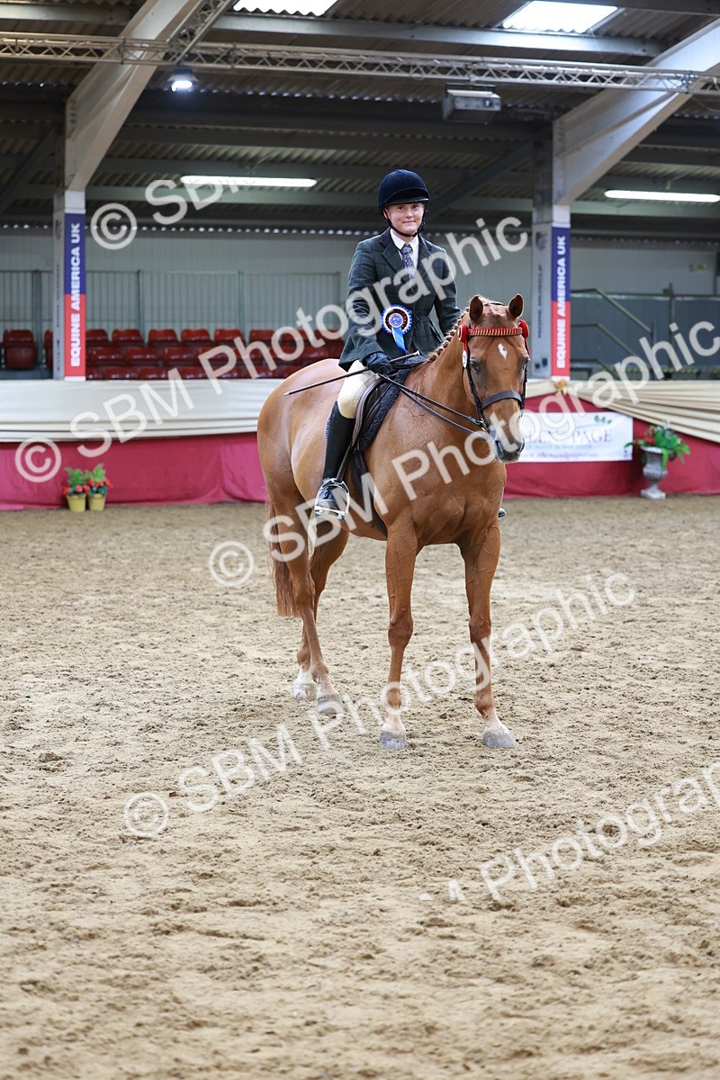 SBM_14984 - Class 108 - Ridden Retired Racehorse