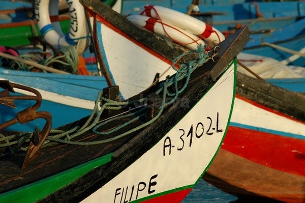 Filipe - Moliceiros