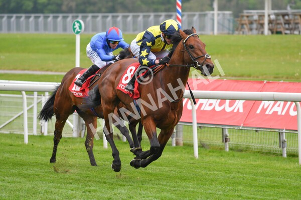 yr14052021r3-15 - Race 3 2.40pm The Matchbook Best Value Exchange Stakes