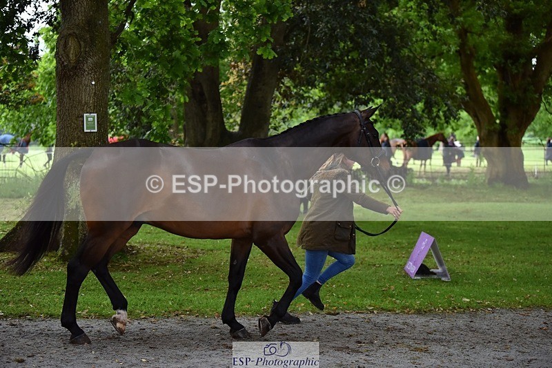 240522-164402-01120 - 218-DALI_III-Natasha_Bailey