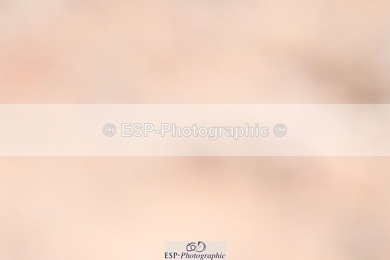 250622-104946-14038 - Cls 47 Novice 5, Start to 11.30am