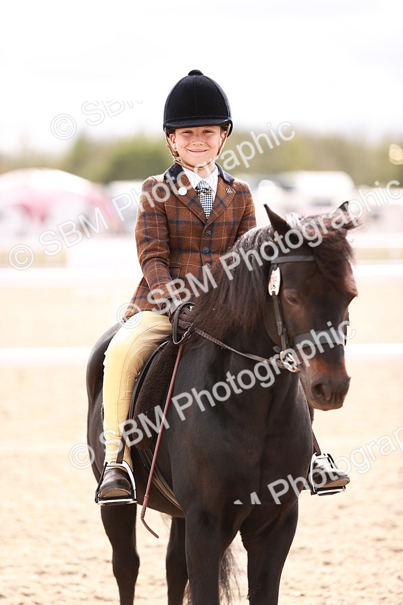 SBM_18310 - Class 417 - Handsome Gelding (IH or Ridden - JNR)