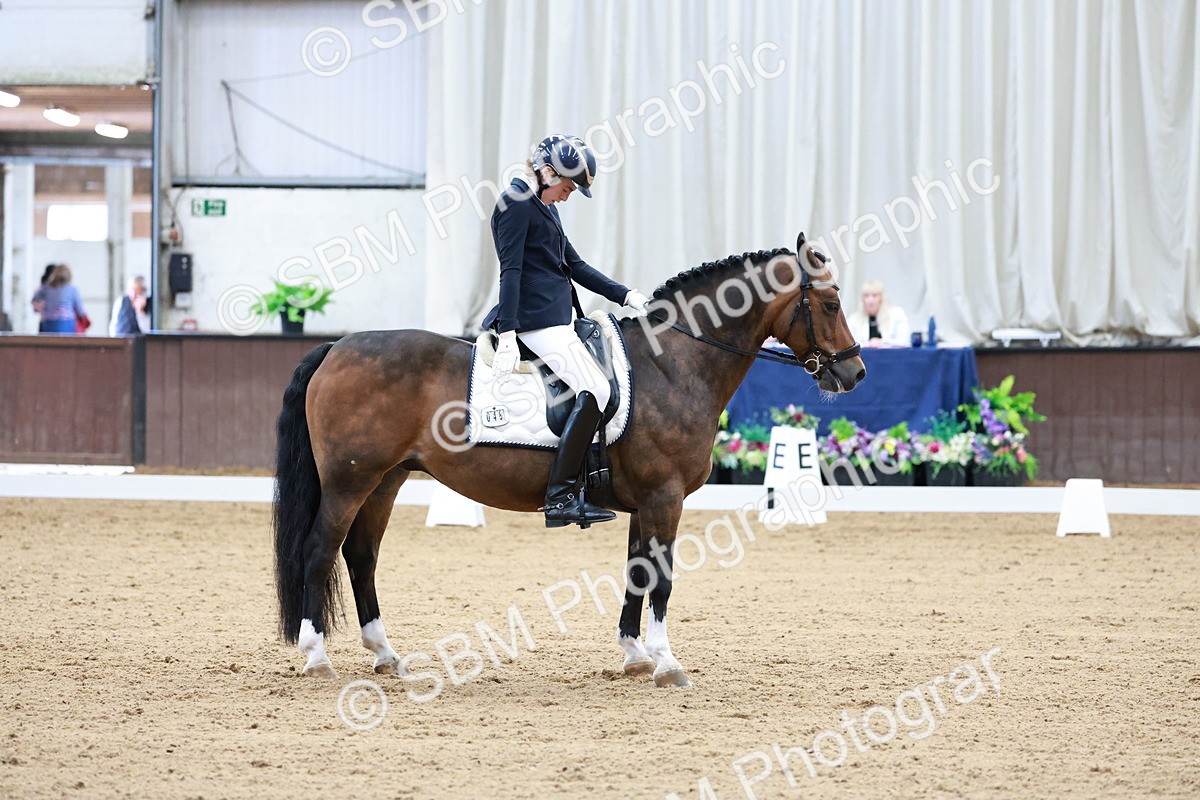 SBM_017164 - Class15 - FEI Pony