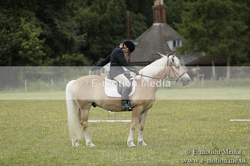 BVR160717-1166 - Class 2 Dressage 16/07/17