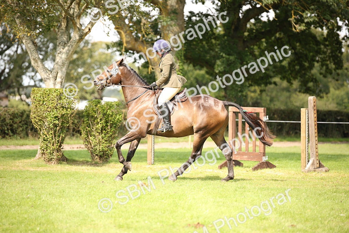 SBM_65941 - S64 - Riding Horse & Hack & Thoroughbred Ridden