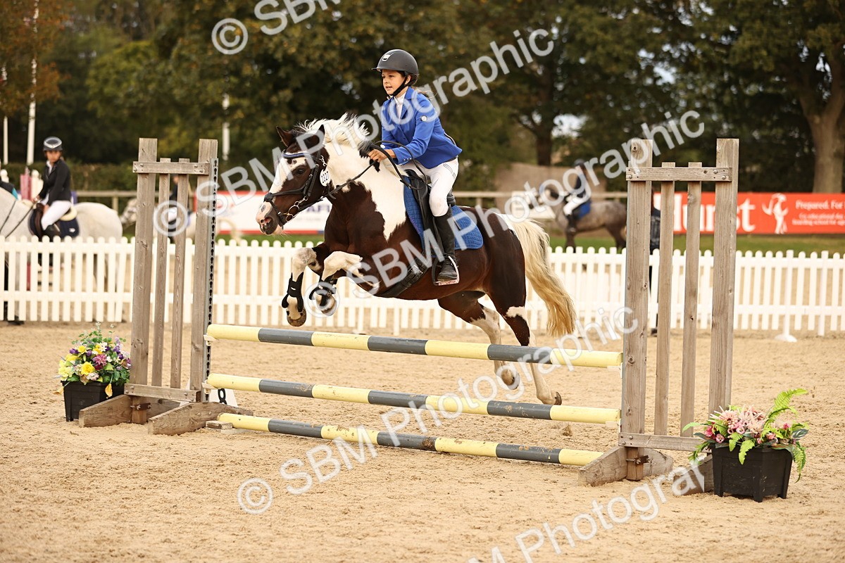 SBM_75523 - Supreme Championship - PM