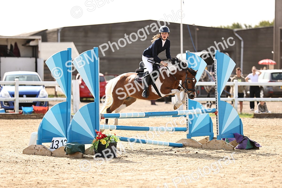 SBM_006600 - Class 1 - 70cm showjumping