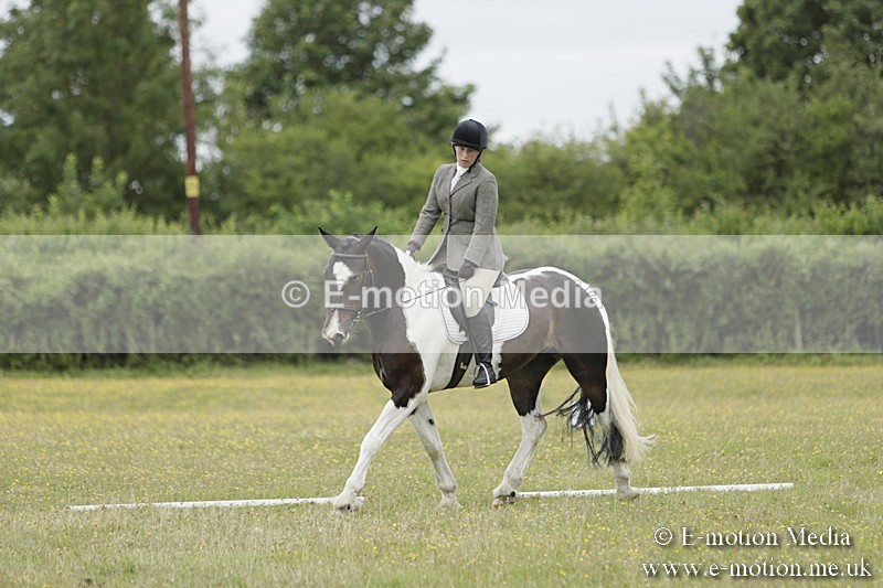 BVR160717-1176 - Class 2 Dressage 16/07/17