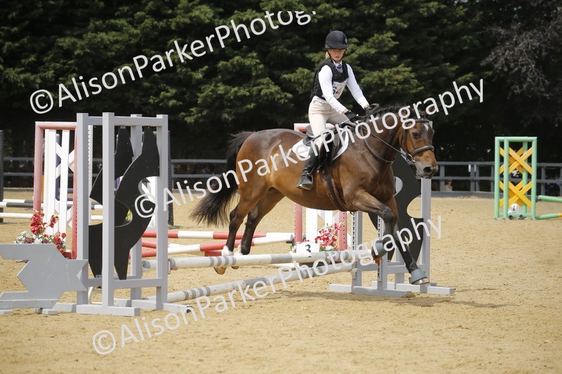 20250622-4157 - 50cm