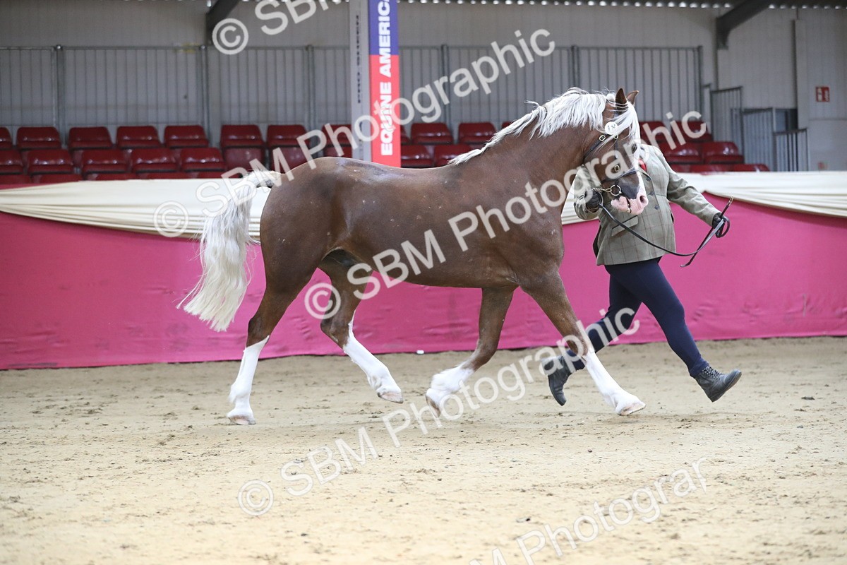 SBM_01313 - Class 3a Area IH Pre Vet