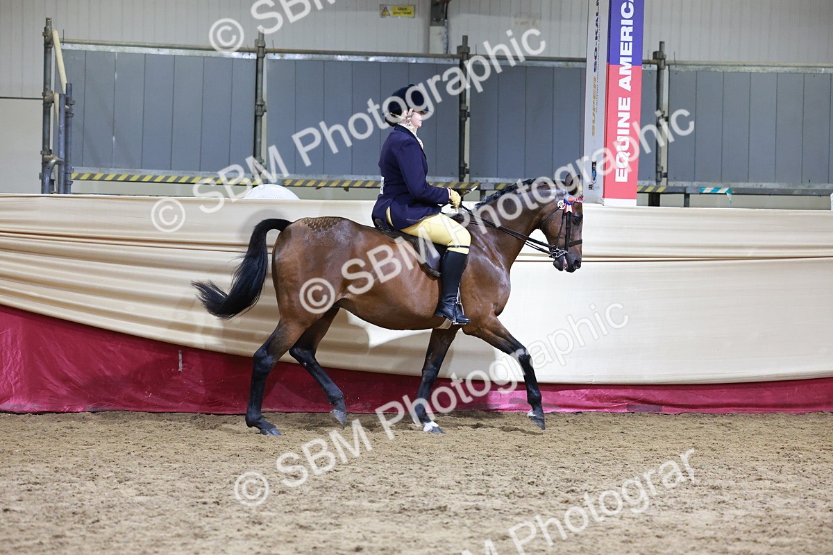 SBM_20559 - Class H - IH Competition - Riding Club champ