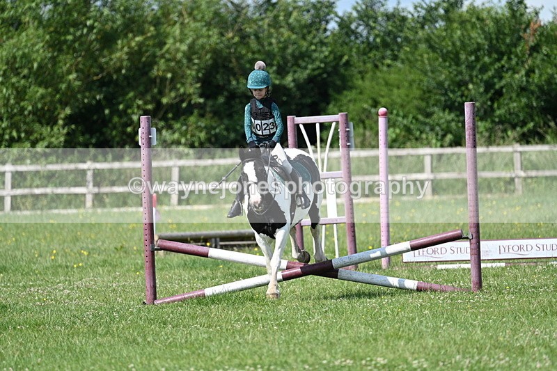 WJ7_0417 - 40cm
