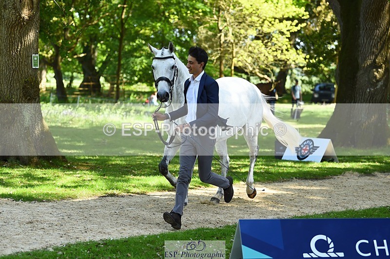 230524-153404-00361 - 359-LONG_BEACH-Giorgio_Nardilli-WEDTrotUp+DR