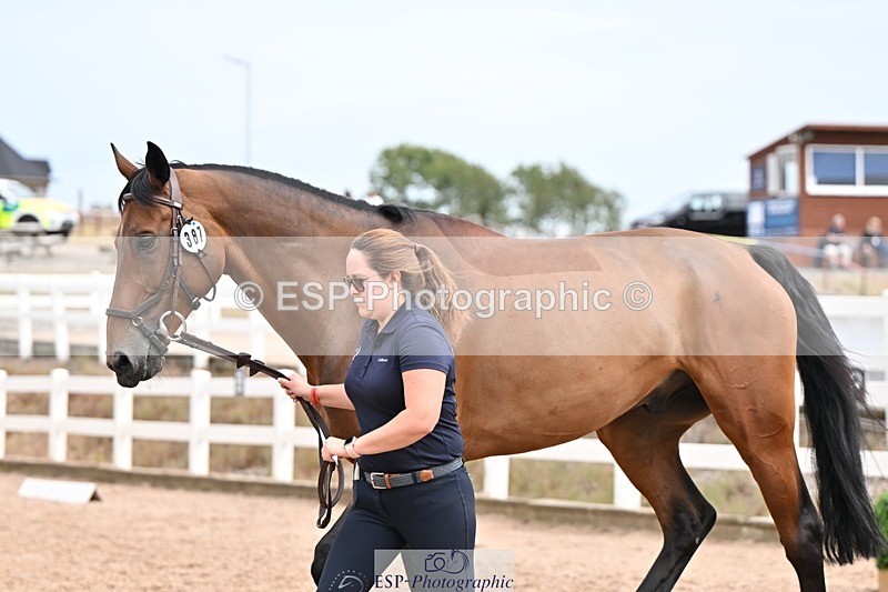 250716-154159-02139 - Trot Up 3.30 to 4.30