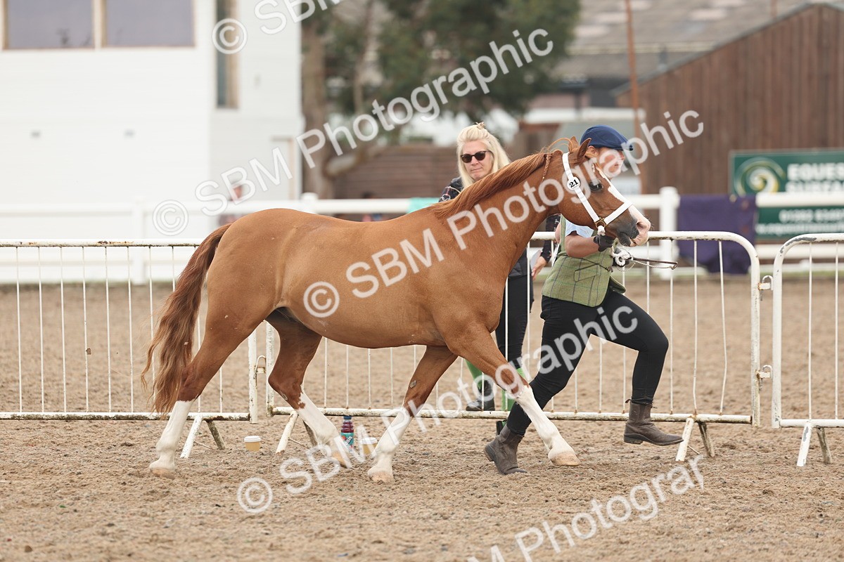 SBM_08477 - Class 29 - IH Veteran Pony