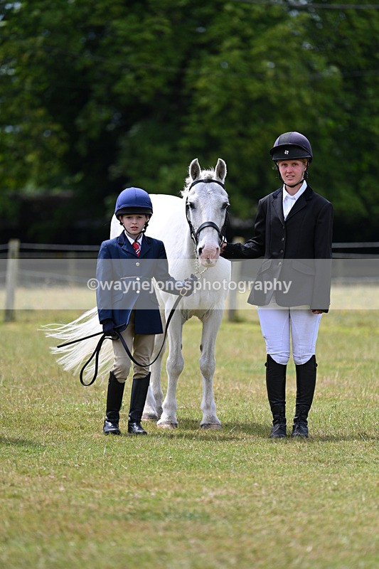 WJ7_6635 - Class 5 Handsome Gelding in hand